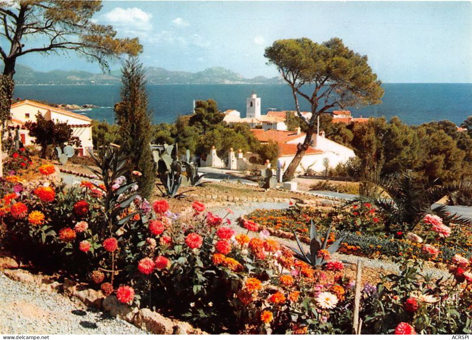 CALANQUES DES ISSAMBRES Le Village Dans Une Corbeille De Fleurs 25(scan Recto-verso) MA1132 - Les Issambres