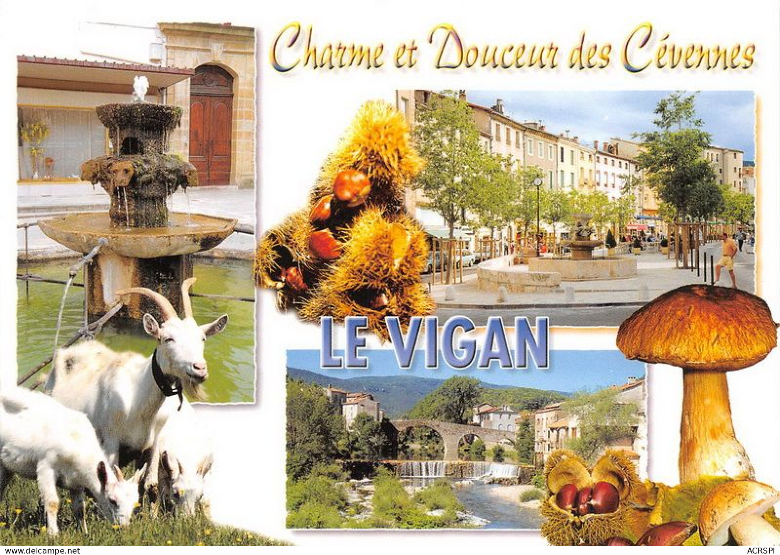 LE VIGAN 16(scan Recto-verso) MA1153 - Le Vigan