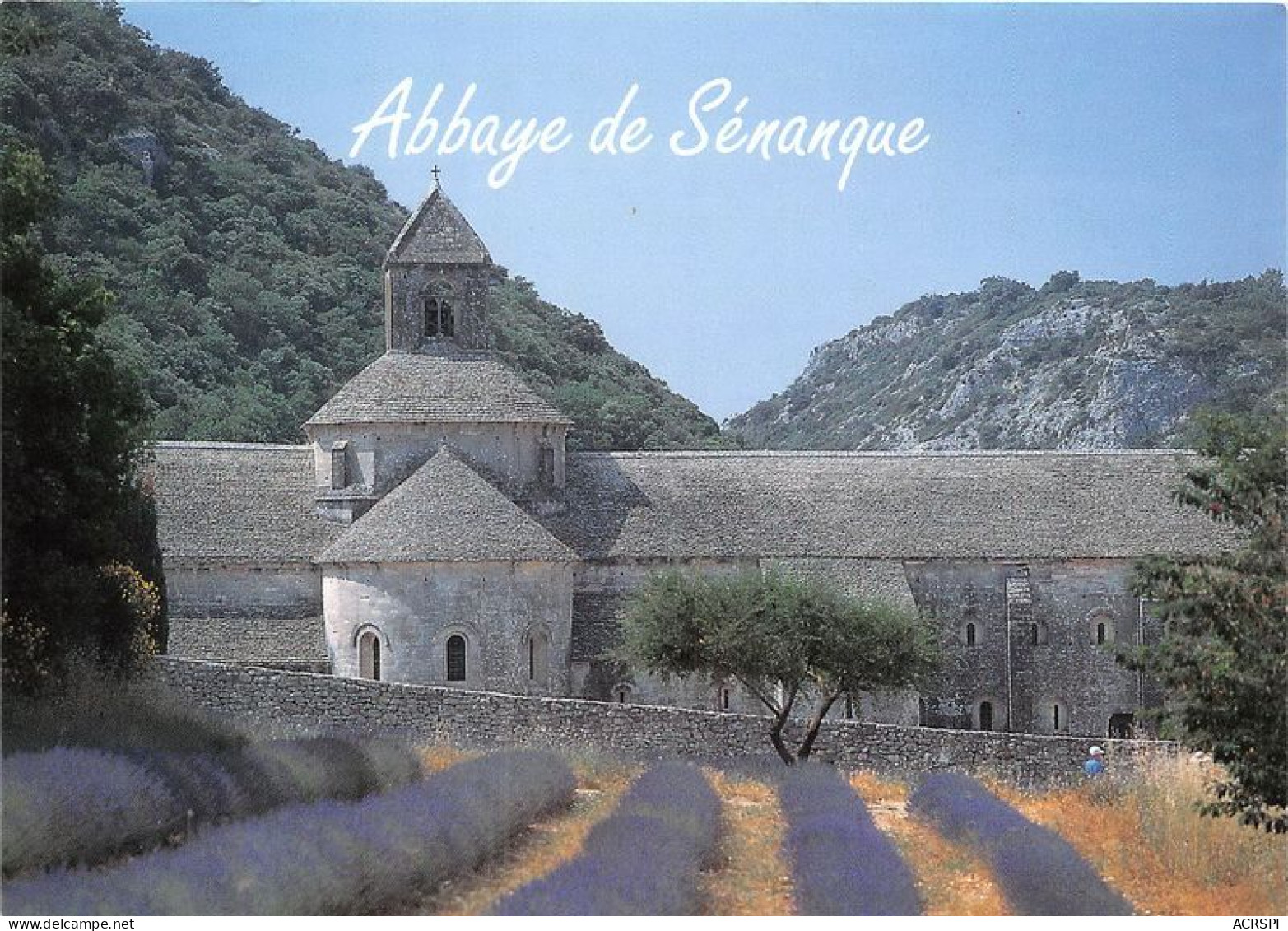 GORDES L Abbaye De Senanque 20(scan Recto-verso) MA1167 - Gordes