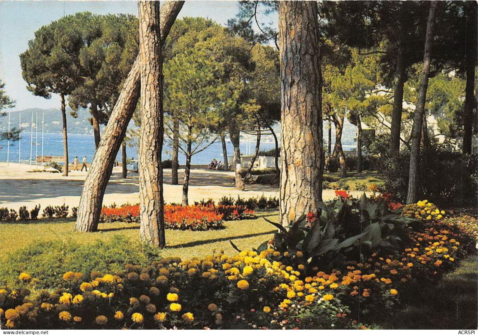 JUAN LES PINS La Pinede 6(scan Recto-verso) MA1185 - Juan-les-Pins