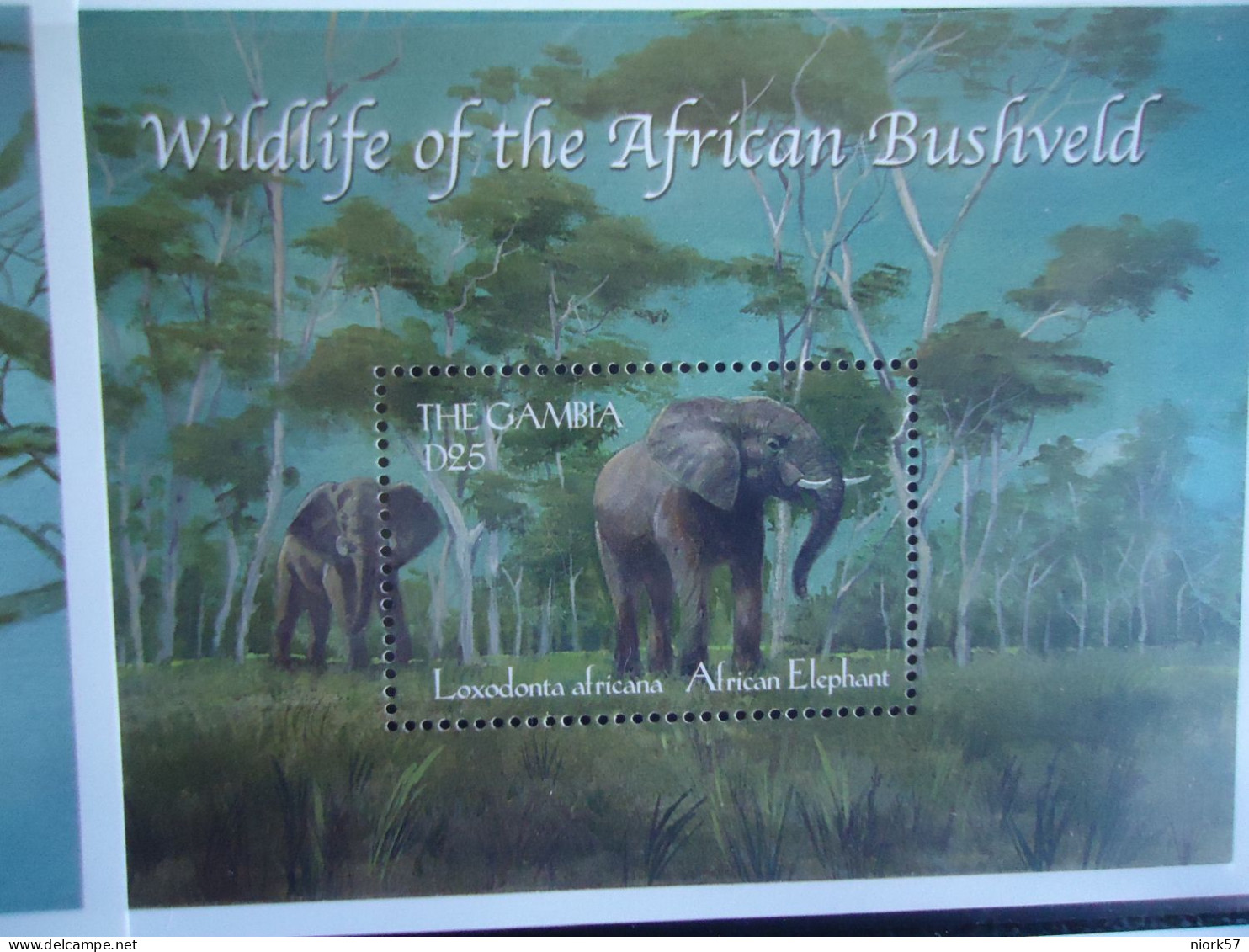 GAMBIA   MNH  STAMPS  SHEET ELEPHANTS - Elefanti