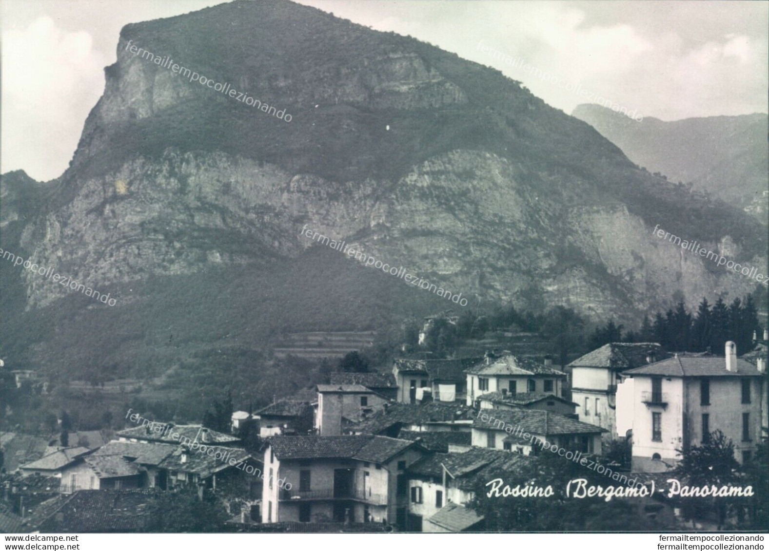 L294 Cartolina Rossino  Panorama  Provincia Di Bergamo - Bergamo