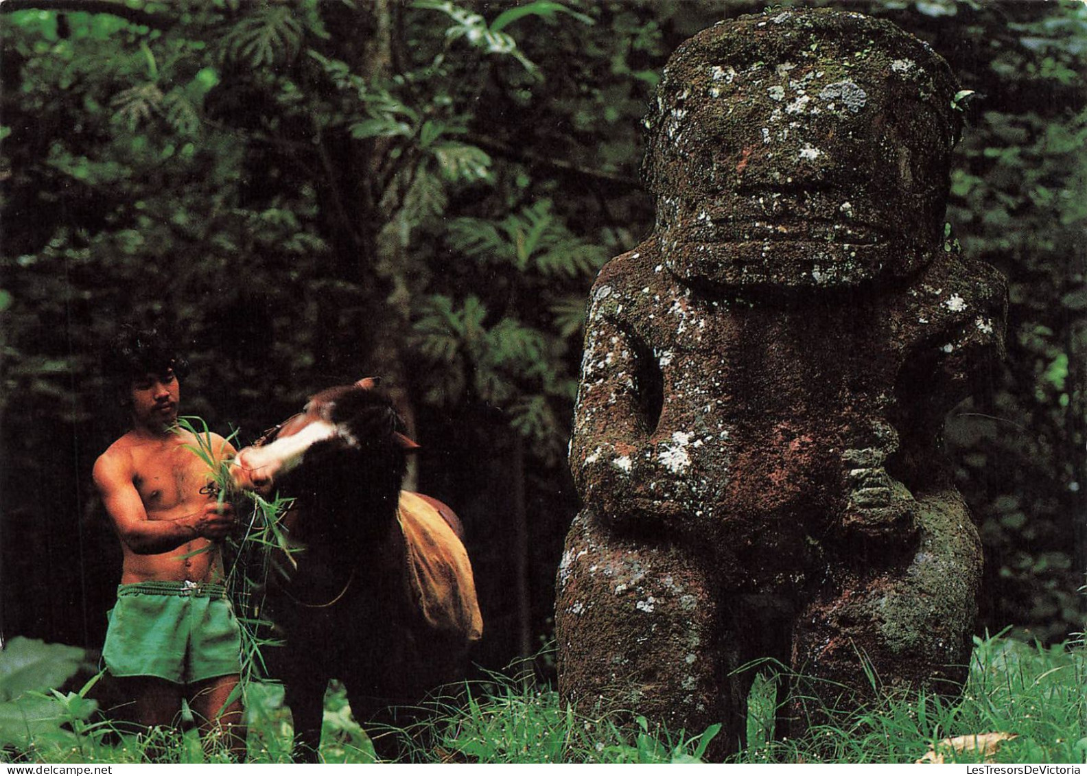 TAHITI - Iles Marquises - Le Tiki Géant Tekaii De La Vallée De Puamau - Île De Hiva Oa - Carte Postale - Tahiti