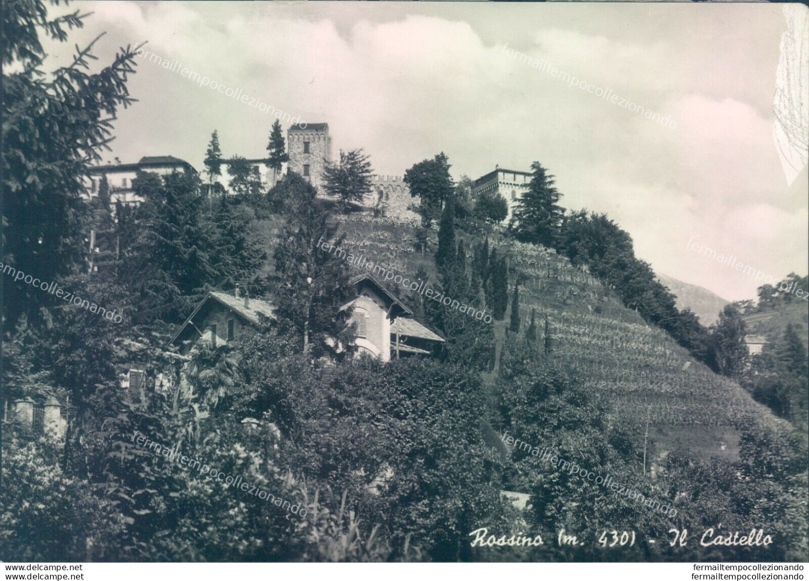 L295 Bozza Fotografica  Rossino Il Castello Provincia Di Bergamo - Bergamo