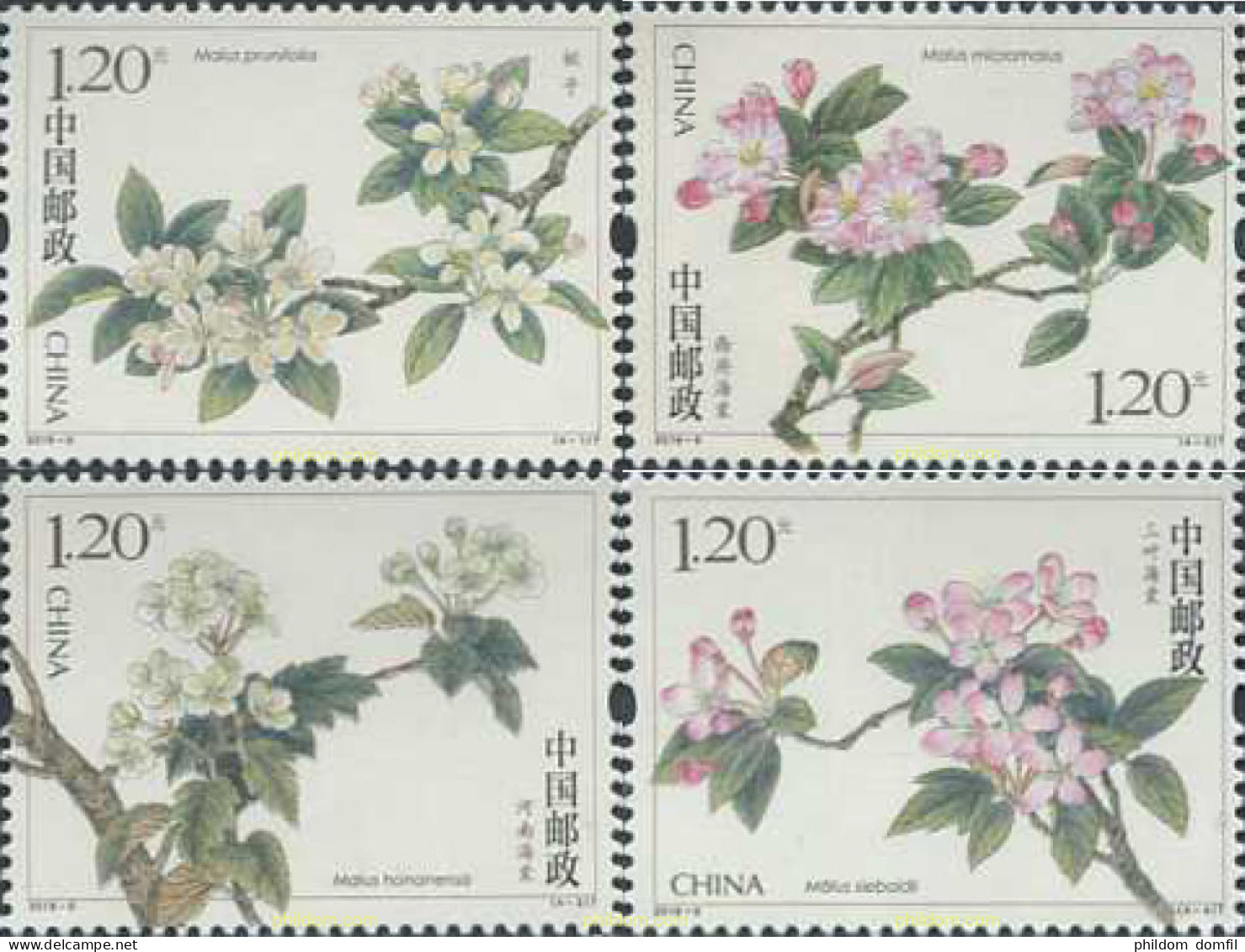 608881 MNH CHINA. República Popular 2018 FLORES - Unused Stamps