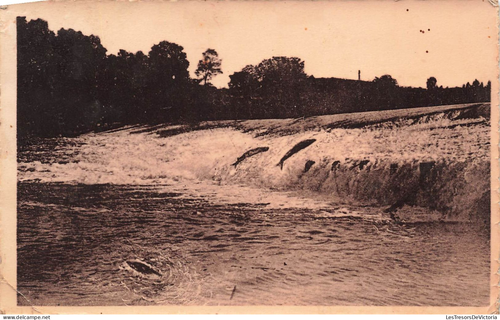 FRANCE - Brioude - L'Allier - Barrage De La Bajeasse - Carte Postale - Brioude