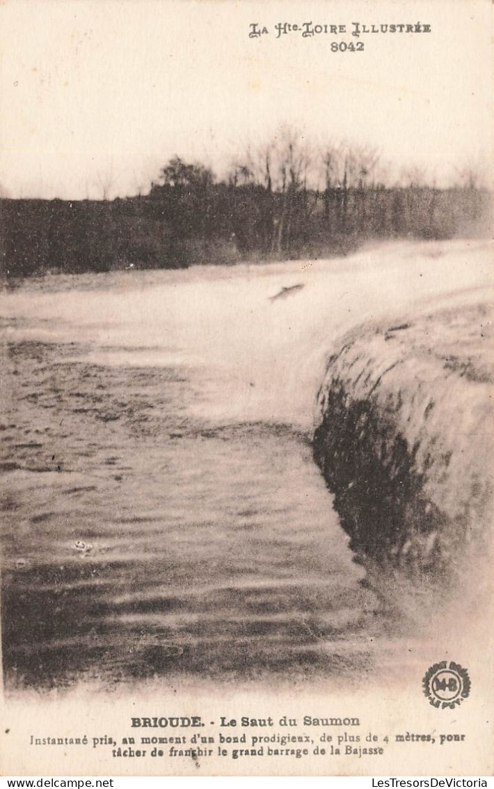 FRANCE - Brioude - Le Saut Du Samon - Carte Postale - Brioude