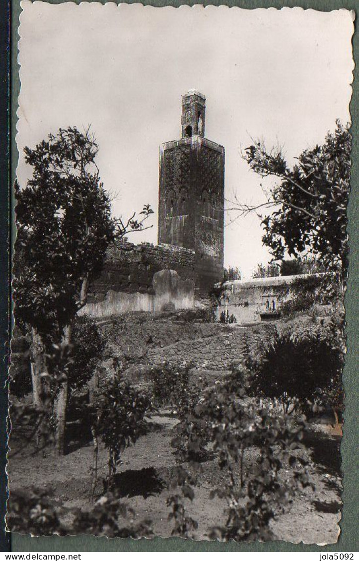 MAROC - RABAT - Minaret Du Chellah - Rabat