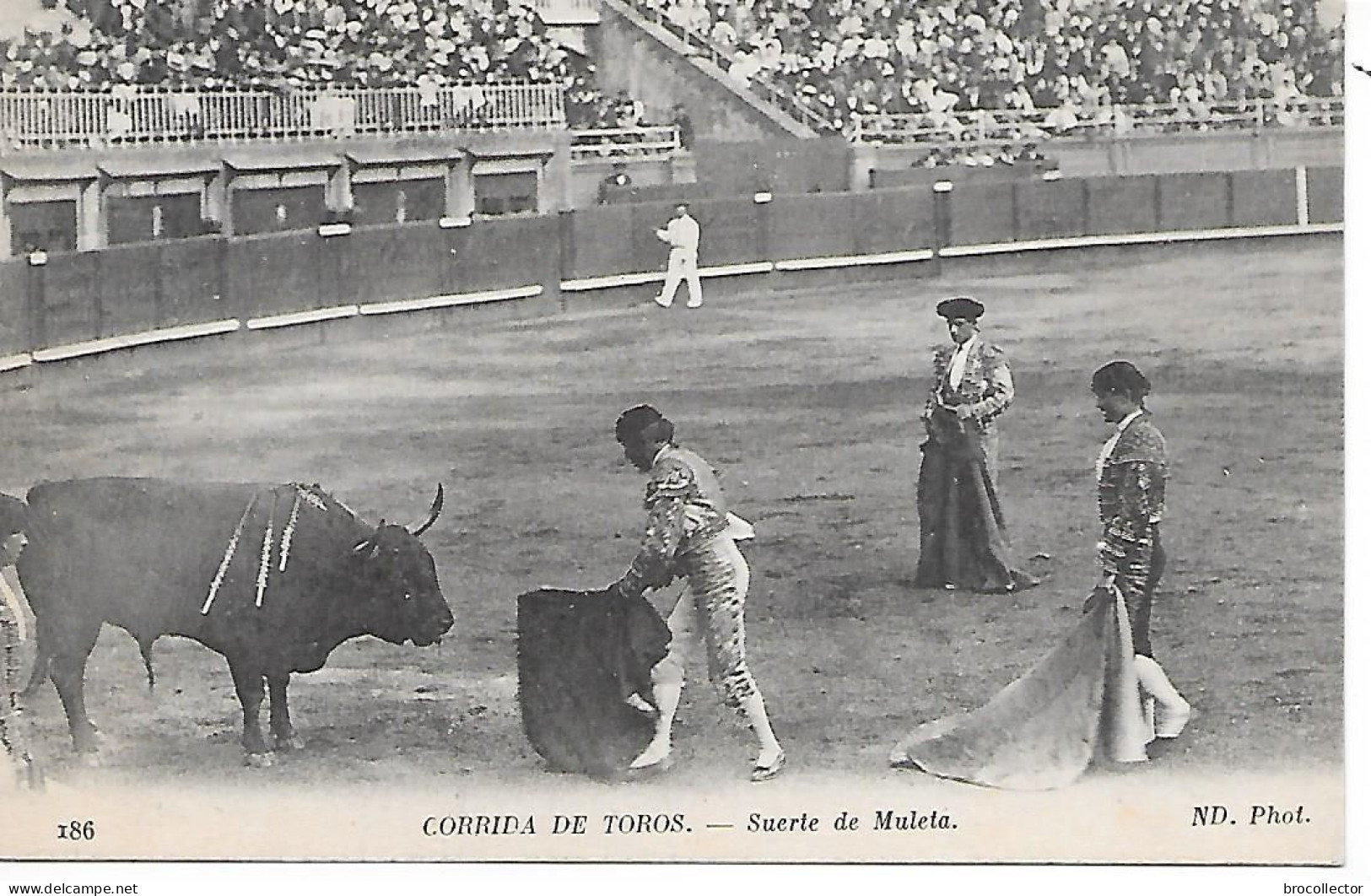 CORRIDA De TORO - Stierkampf