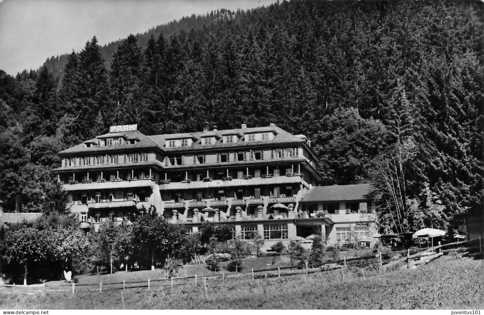 CPSM Wengen-Parkhotel Mit Embassy-RARE     L2846 - Wengen