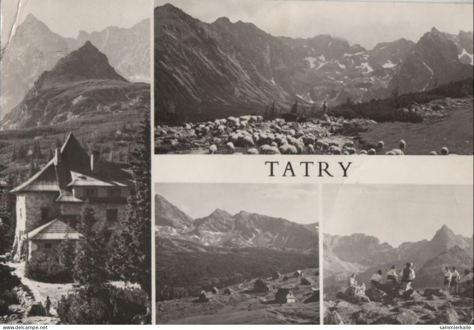 81564 - Polen - Tatry Wysokie - Hohe Tatra - Ca. 1965 - Polonia