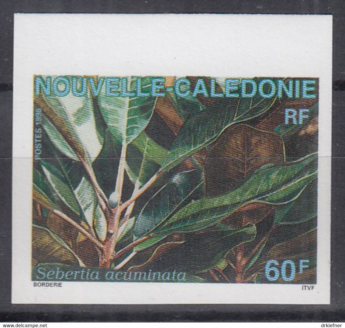 NEUKALEDONIEN  1044, Postfrisch **, Geschnitten, Einheimische Flora, 1995 - Unused Stamps