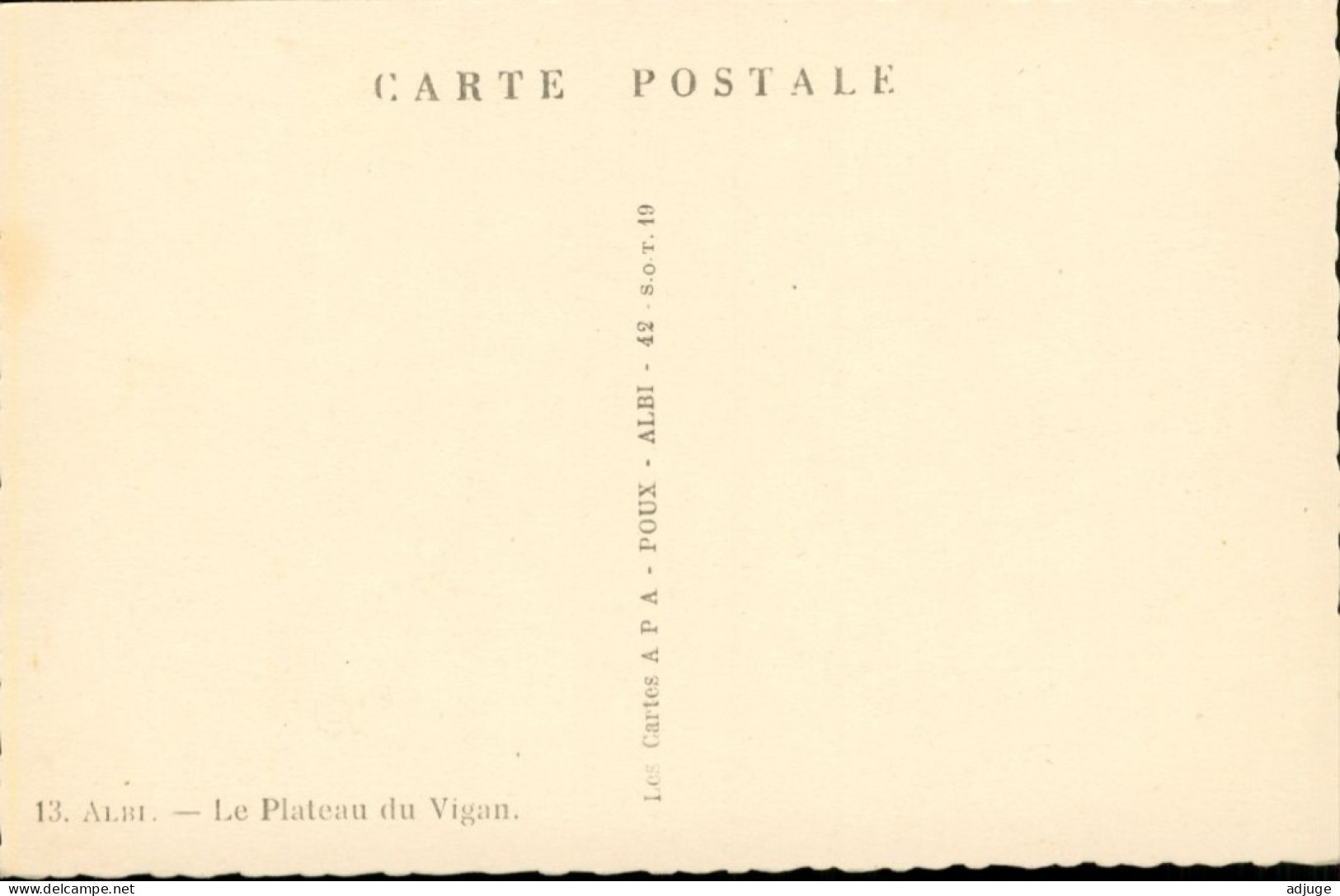 CPA-81-ALBI-  Le Plateau Du VIGAN, Edit. Apa N° 13 Colorisée** 2 Scans - Albi