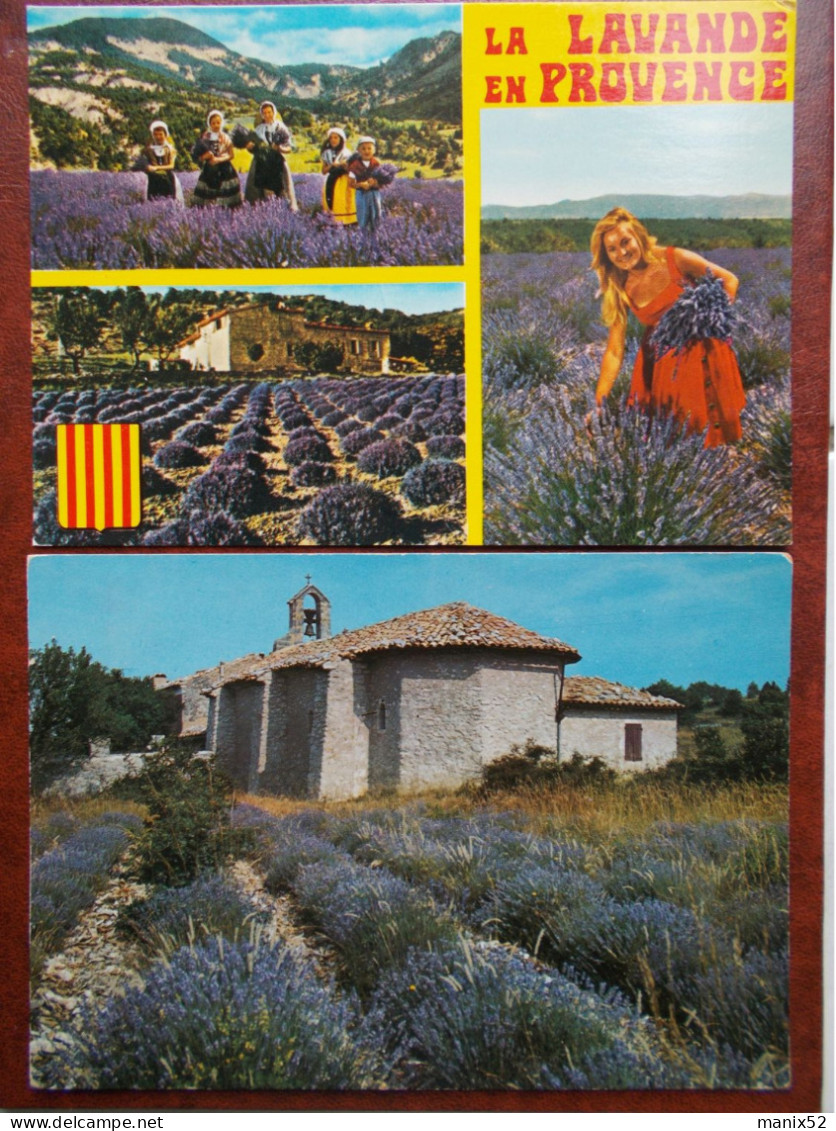 RÉGION - PROVENCE - Chapelle Au Milieu De La Lavande / Cueillette. (Lot De 2 Cartes) - Provence-Alpes-Côte D'Azur