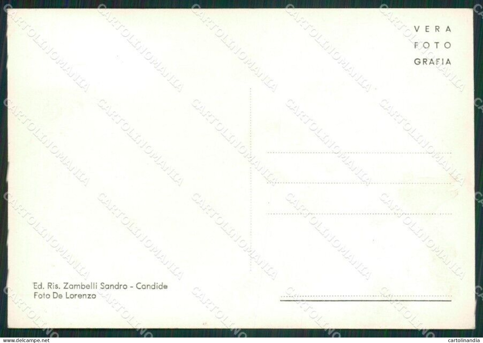 Belluno Comelico Superiore Padola Saluti Da Foto FG Cartolina ZKM7134 - Belluno