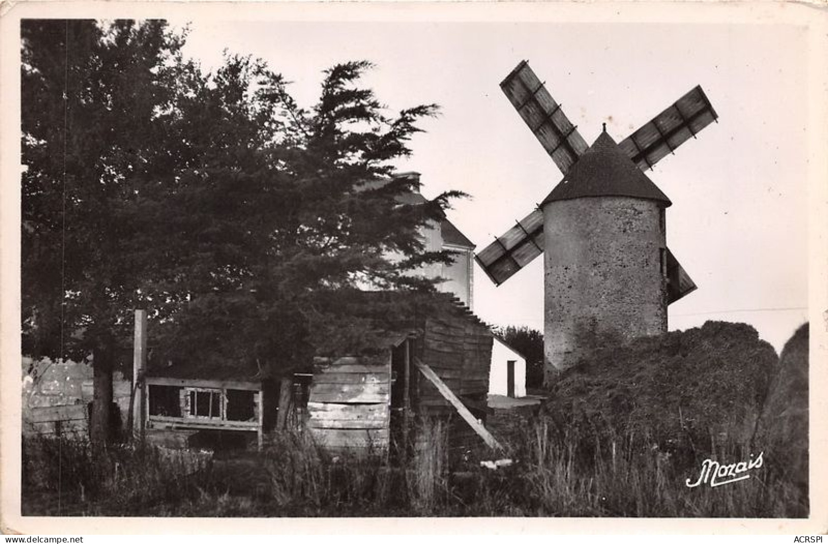 DAMGAN Un Joli Moulin 26(scan Recto-verso) MA1216 - Damgan