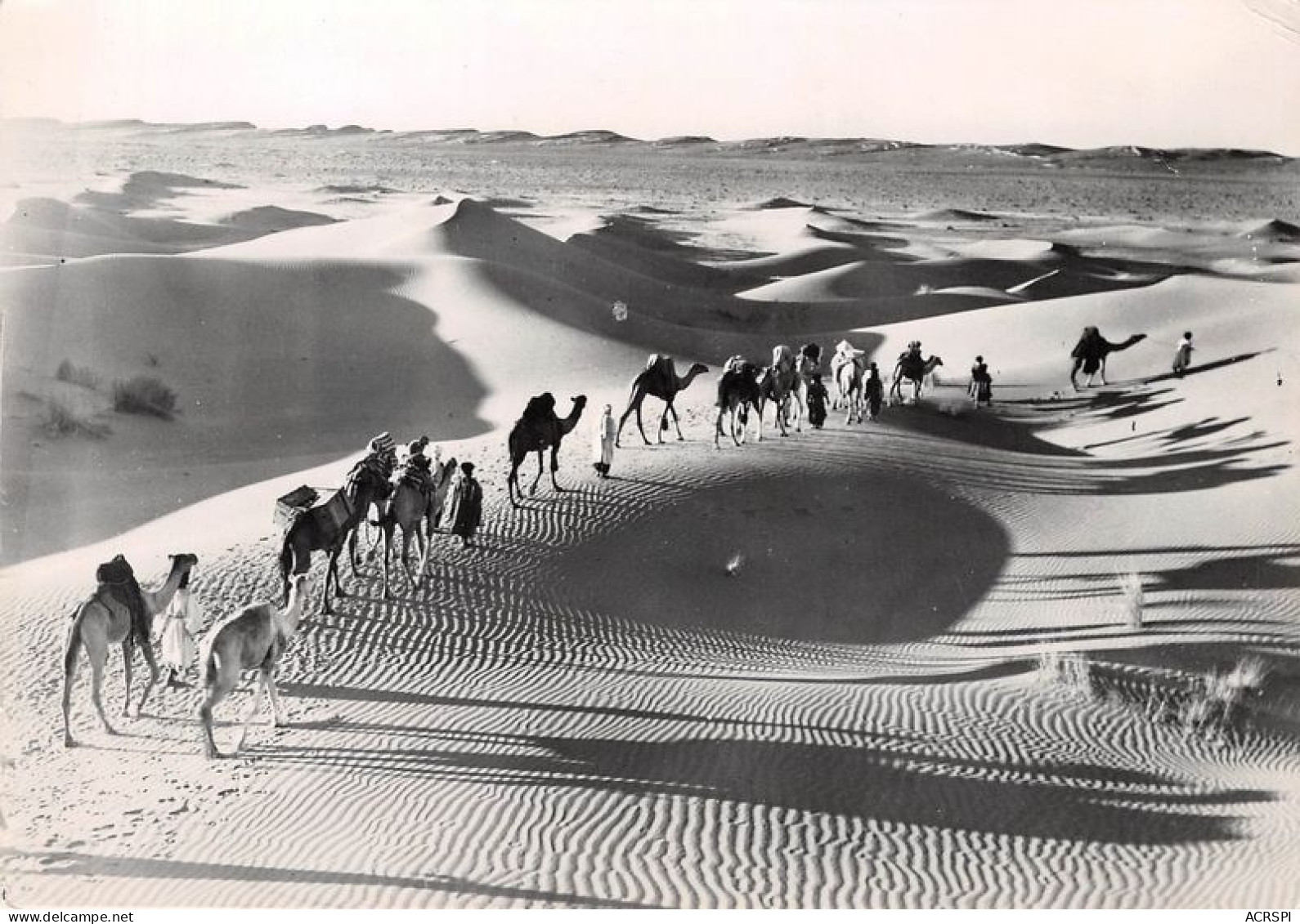MAROC Caravane Dans La Dune 29(scan Recto-verso) MA1212 - Marrakech