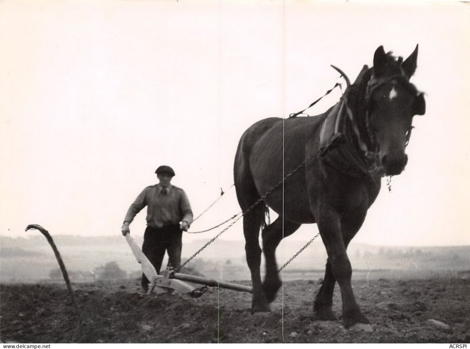 CHAMBON SUR LIGNON Cheval 19(scan Recto-verso) MA1205 - Le Chambon-sur-Lignon