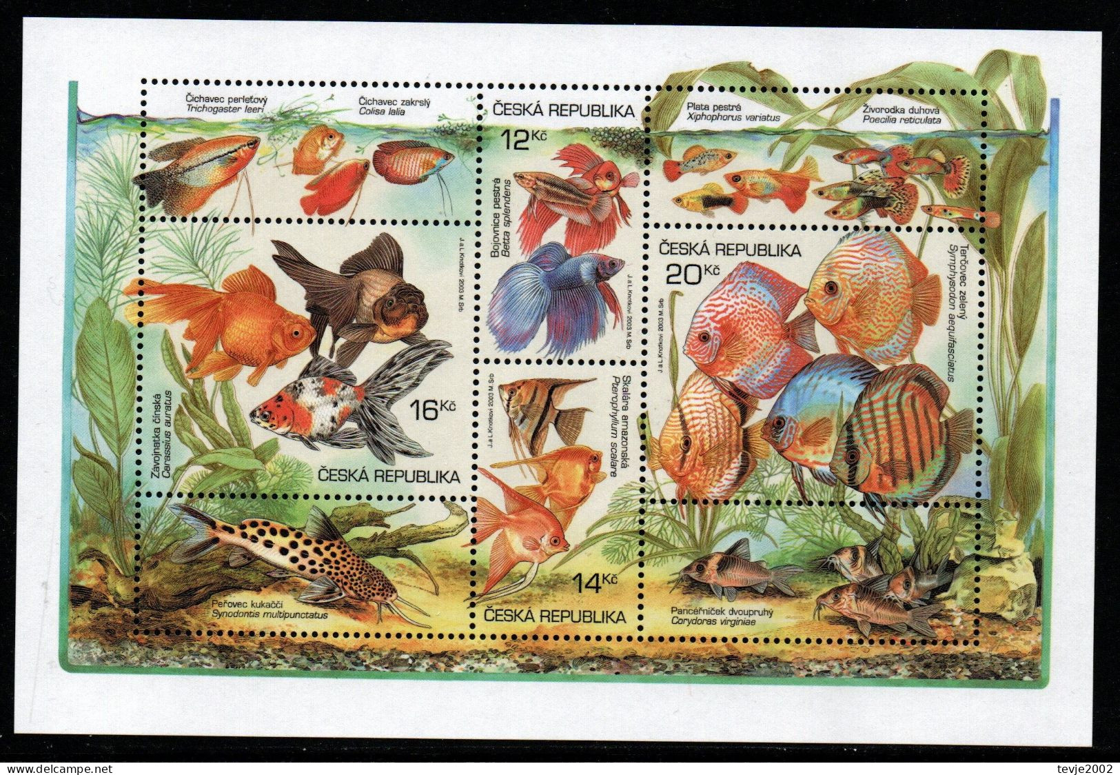 Tschechien Ceska 2003 - Mi.Nr. Block 19 - Postfrisch MNH - Tiere Animals Fische Fishes - Fishes