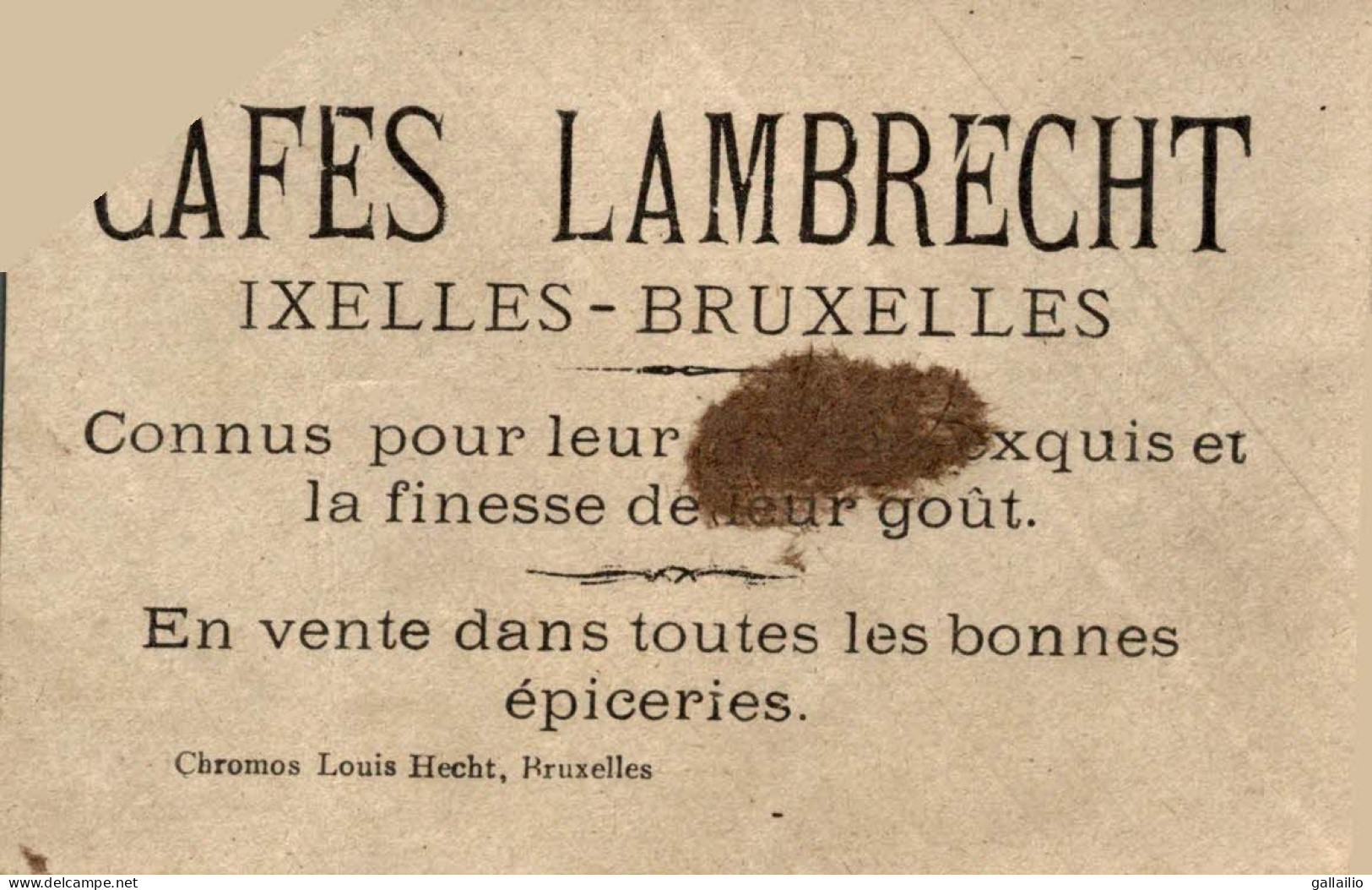 CHROMO CAFES LAMBRECHT BRUXELLES LAPIN - Thee & Koffie