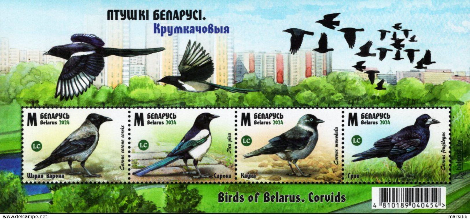 Belarus - 2024 - Birds - Corvids - Mint Stamp Sheetlet - Bielorussia
