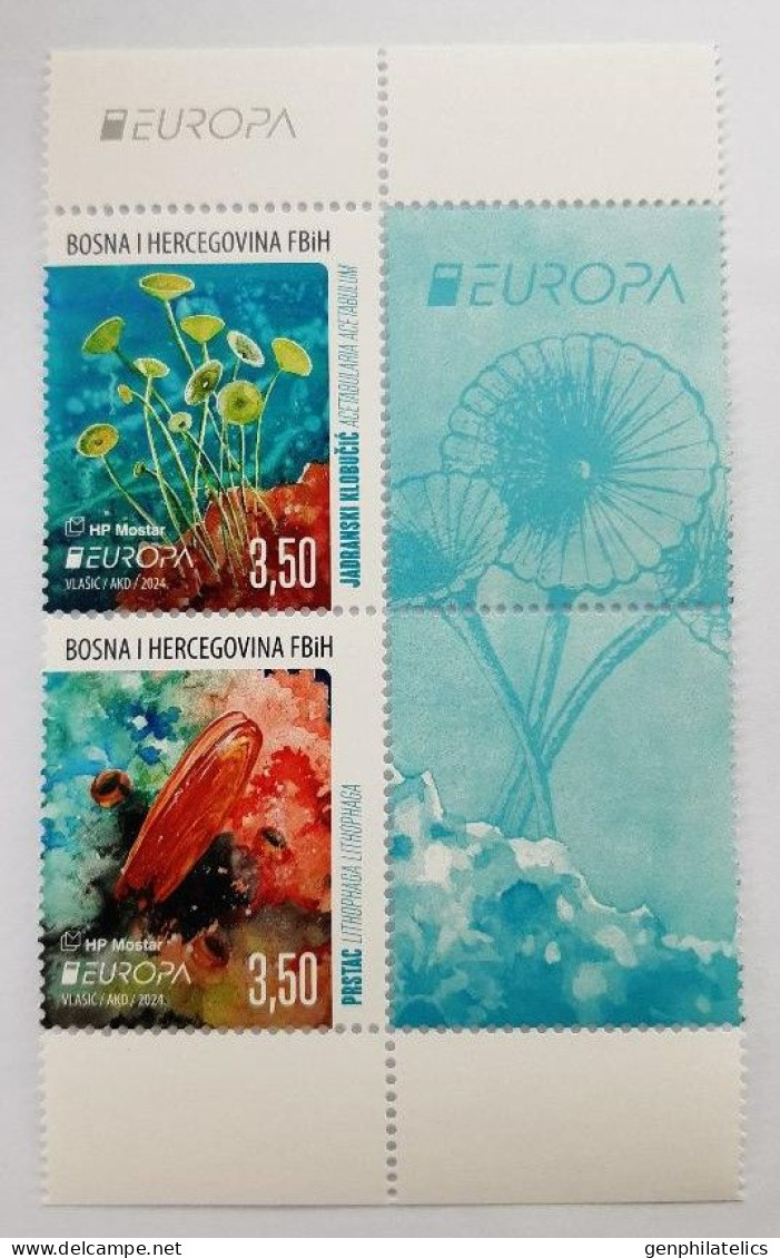 BOSNIA (Croatia) MOSTAR 2024 Europa CEPT. Underwater Fauna & Flora - Fine Set + Labels MNH - Bosnien-Herzegowina