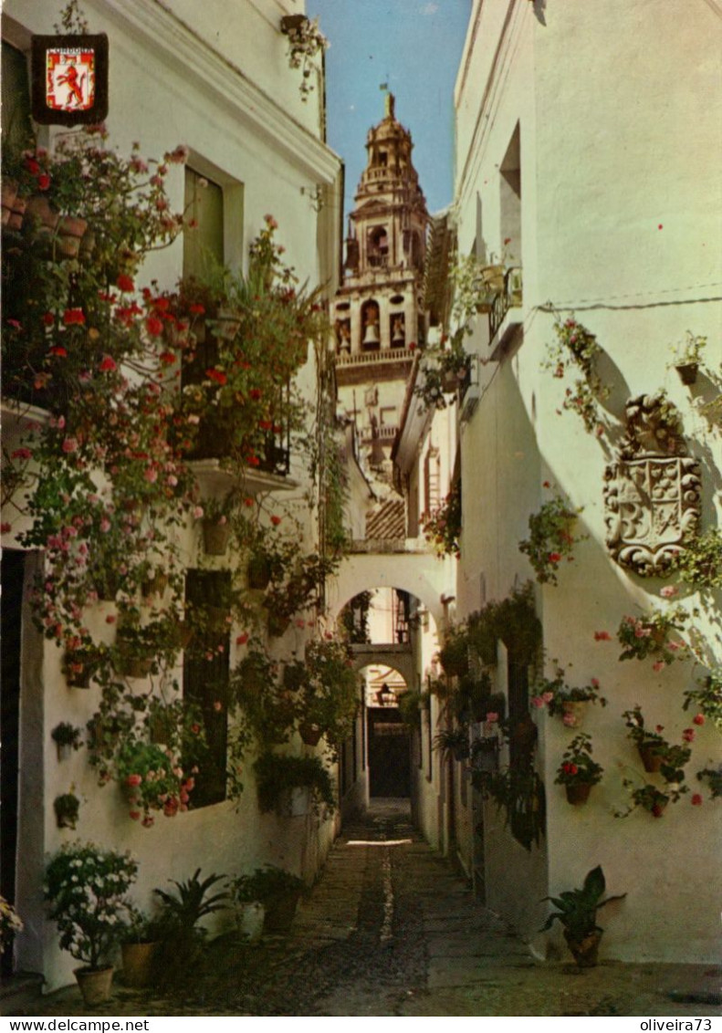 CORDOBA - Calleja De Las Flores - Córdoba