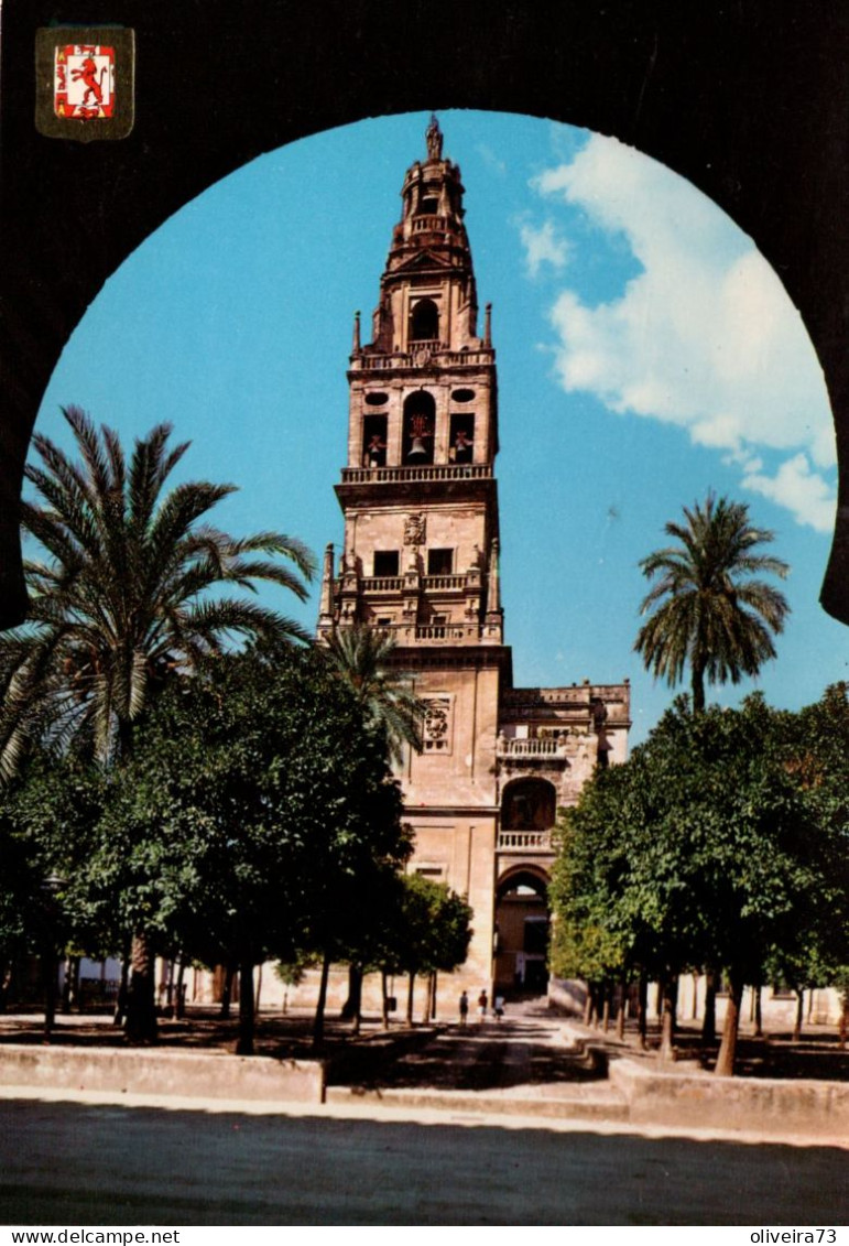 CORDOBA - Patio De Los Naranjos - Córdoba