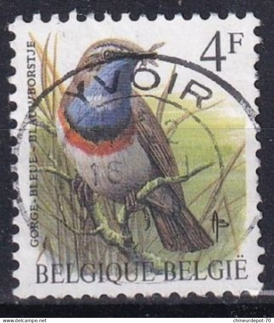 Oiseaux Buzin VIRTON YVOIR BRUXELLES LIER FLOREFFE NAMUR VOTTEM AALST - 1985-.. Vogels (Buzin)