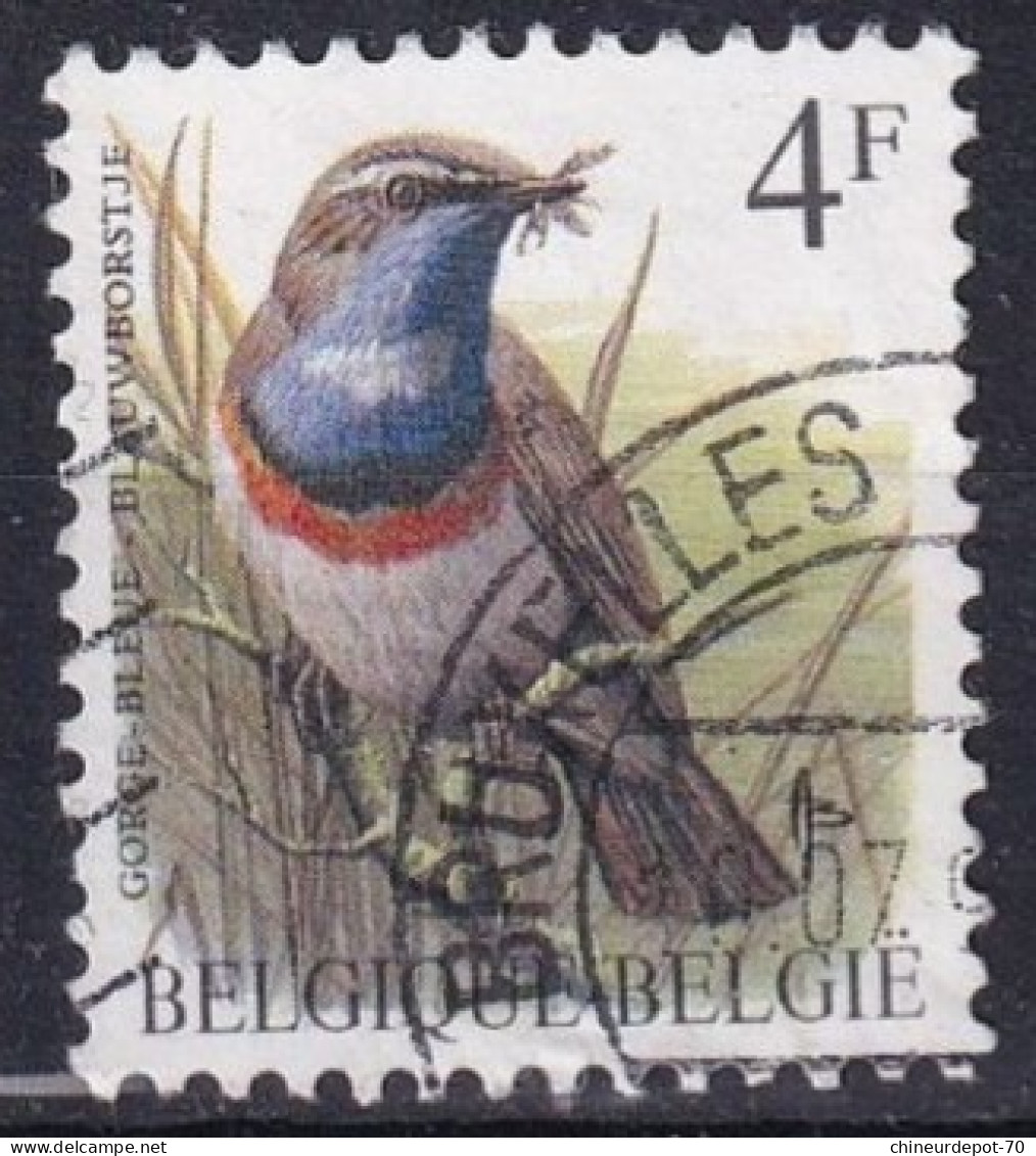 Oiseaux Buzin VIRTON YVOIR BRUXELLES LIER FLOREFFE NAMUR VOTTEM AALST - 1985-.. Oiseaux (Buzin)