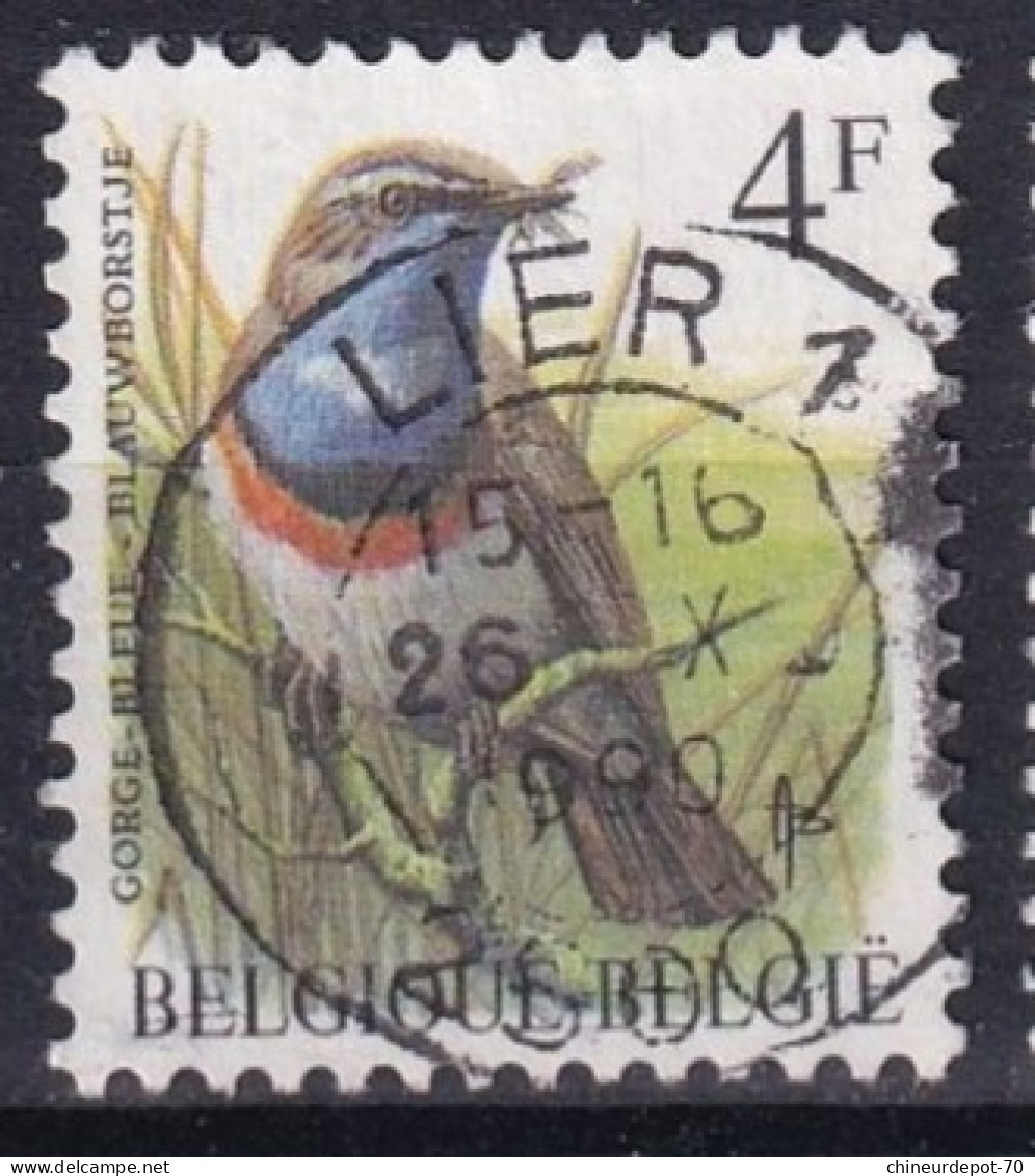 Oiseaux Buzin VIRTON YVOIR BRUXELLES LIER FLOREFFE NAMUR VOTTEM AALST - 1985-.. Oiseaux (Buzin)