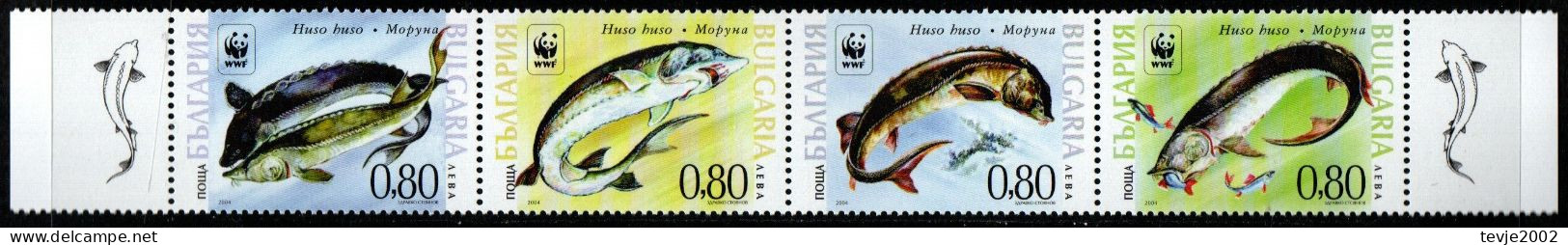 Bulgarien 2004 - Mi.Nr. 4678 - 4681 - Postfrisch MNH - Tiere Animals Fische Fishes - Vissen