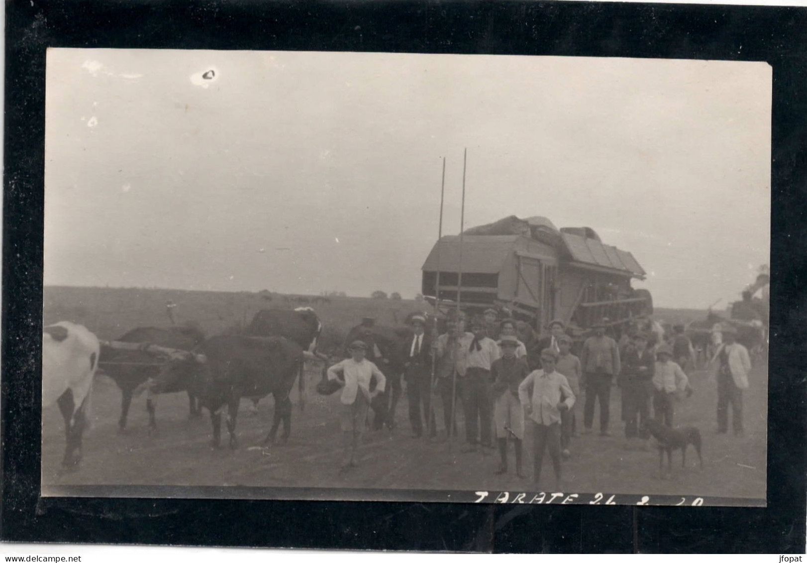 ARGENTINE - ZARATE Carte Photo, Scène De Battage - Argentinien