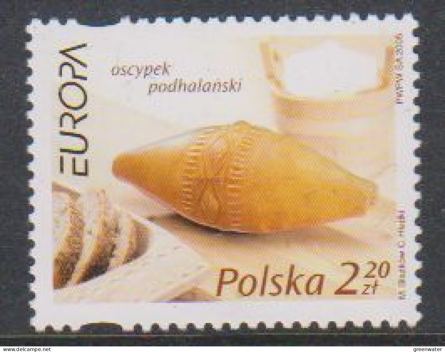 Europa Cept 2005 Poland 1v ** Mnh (59545B) Rock Bottom - 2005