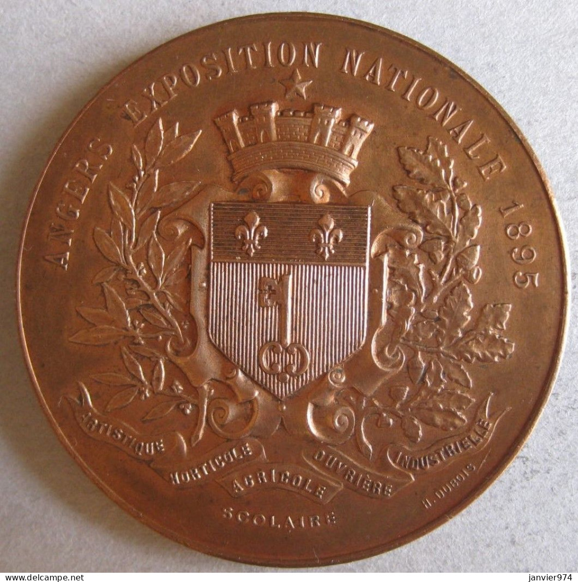 Médaille En Bronze ANGERS Exposition Nationale De 1895, Marianne Couronnée , Par Dubois - Otros & Sin Clasificación