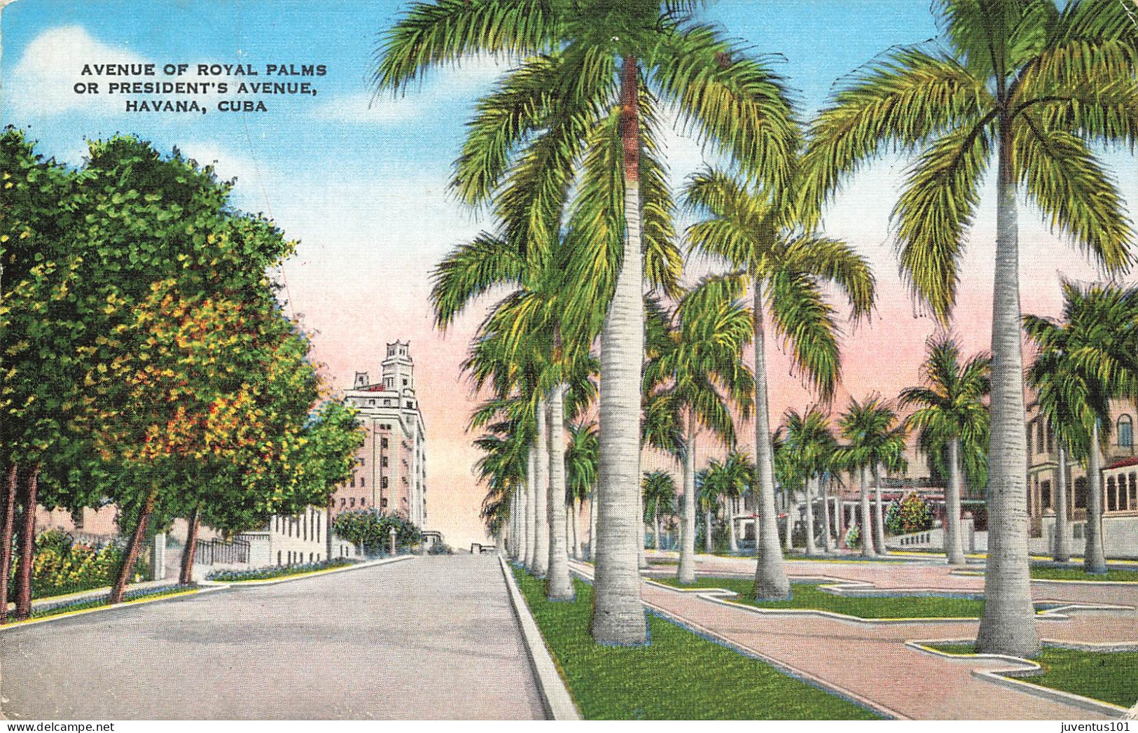 CPA Avenue Of Royal Palms Or President's Avenue-Havana-Cuba        L2848 - Cuba