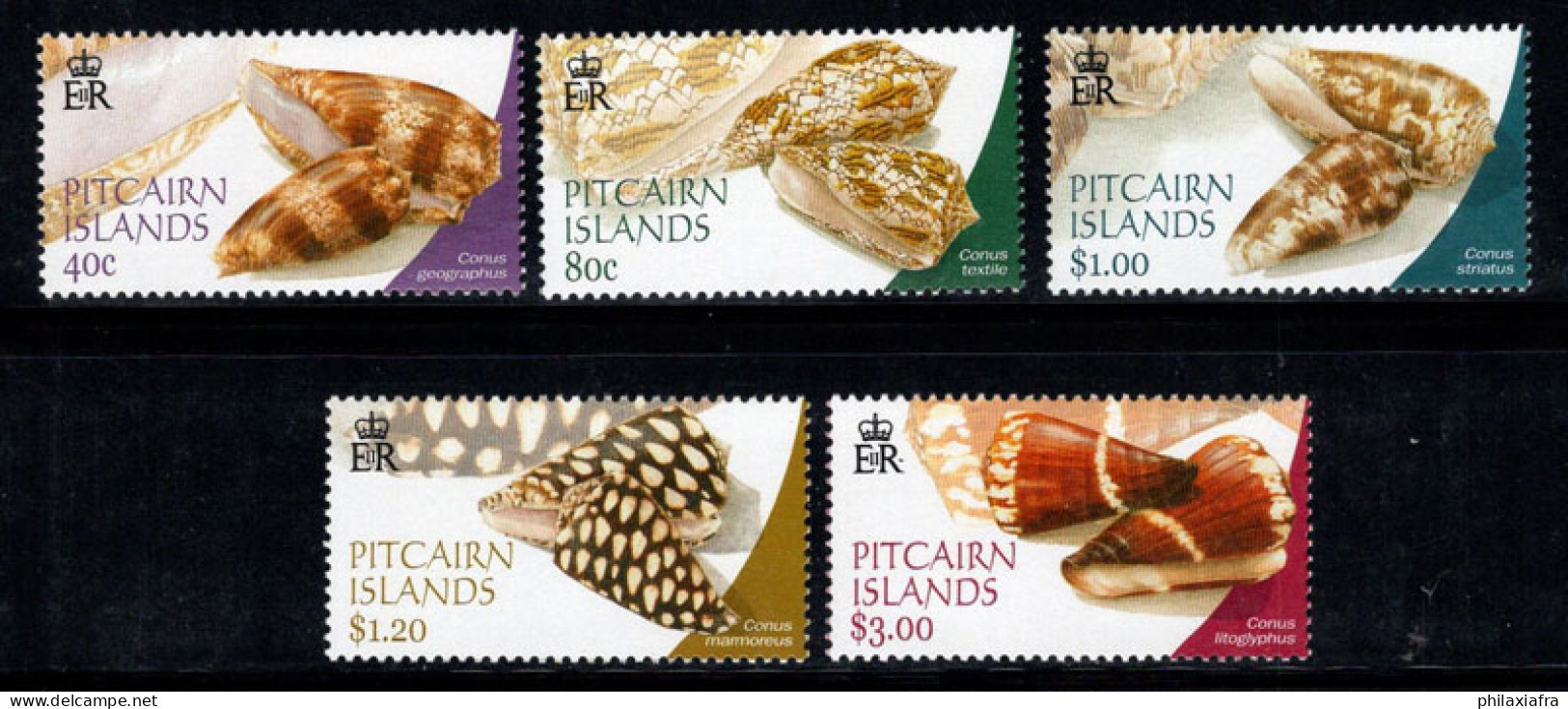 Île De Pitcairn 2003 Mi. 628-632 Neuf ** 100% Escargots Coniques - Pitcairneilanden