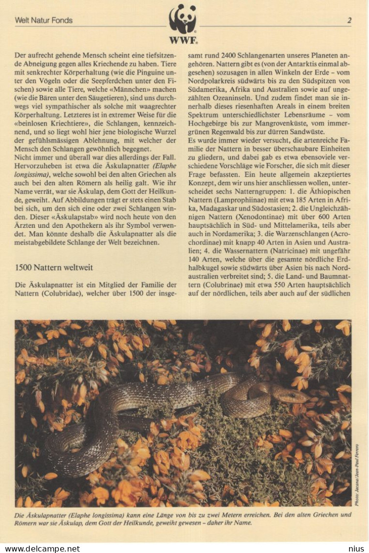 Moldova 1993 WWF W.W.F. Die Askulapnatter Aesculapian Snake - Ungebraucht