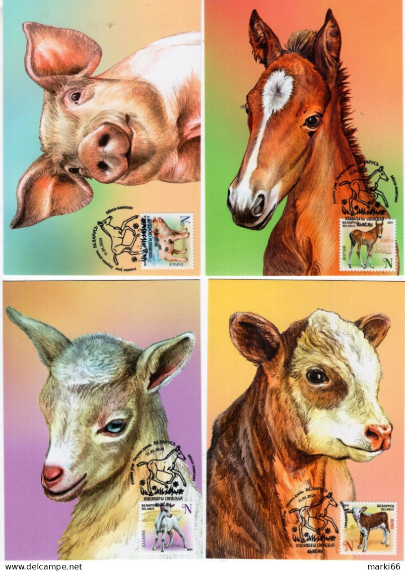 Belarus - 2024 - Domestic Baby Animals - Maximum Cards Set - Bielorussia