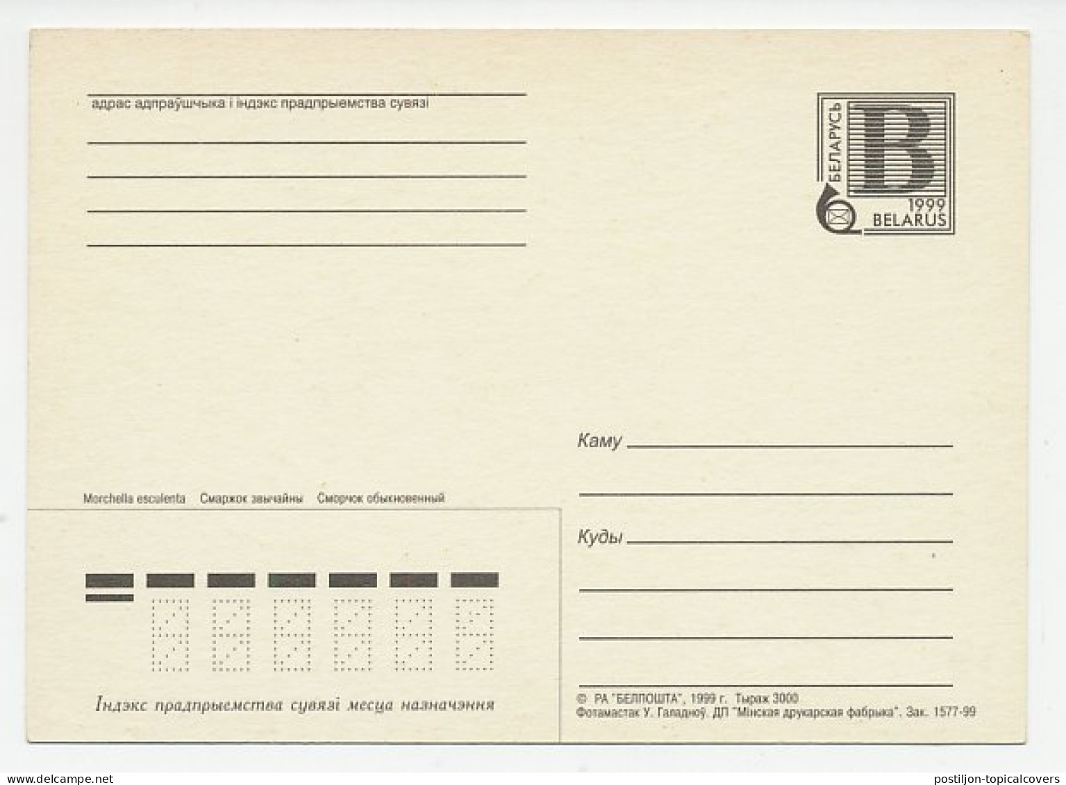 Postal Stationery Belarus 1999 Mushroom - Pilze