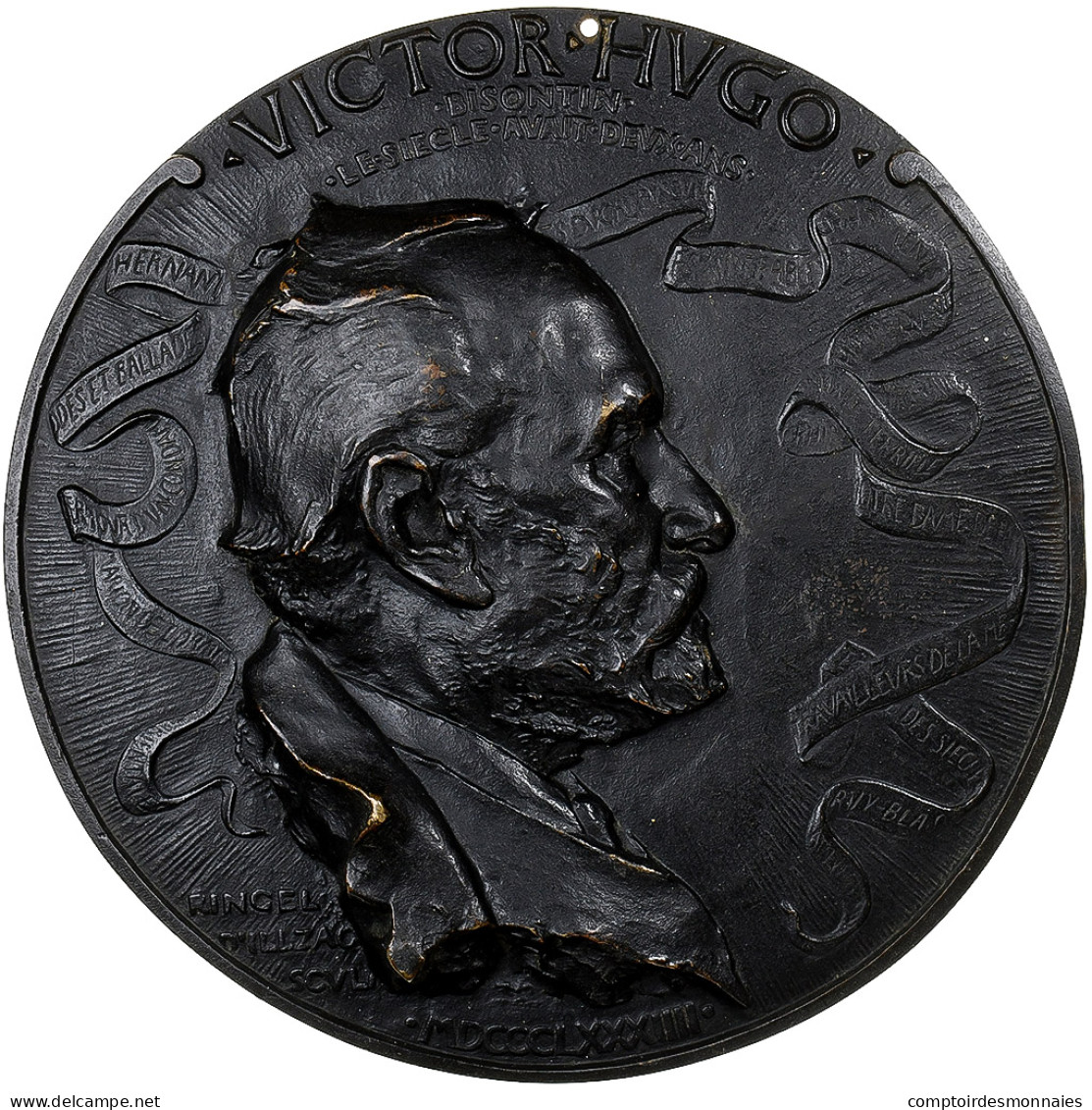 France, Médaille, Victor Hugo, 1884, Bronze, Ringel D'Illzach, Fonte Uniface - Autres & Non Classés