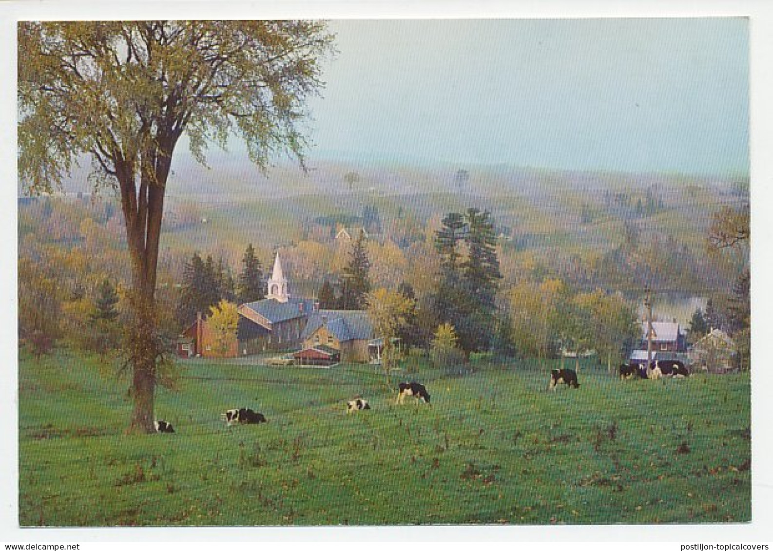 Postal Stationery Canada Cows - Farm - Church - Fattoria