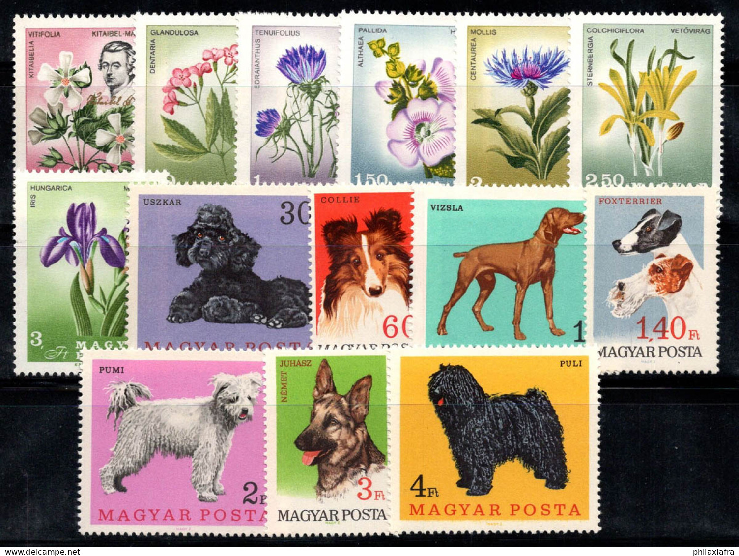 Hongrie 1967 Neuf ** 100% P.Kitaibel Botanique,Fleurs,Chiens - Unused Stamps