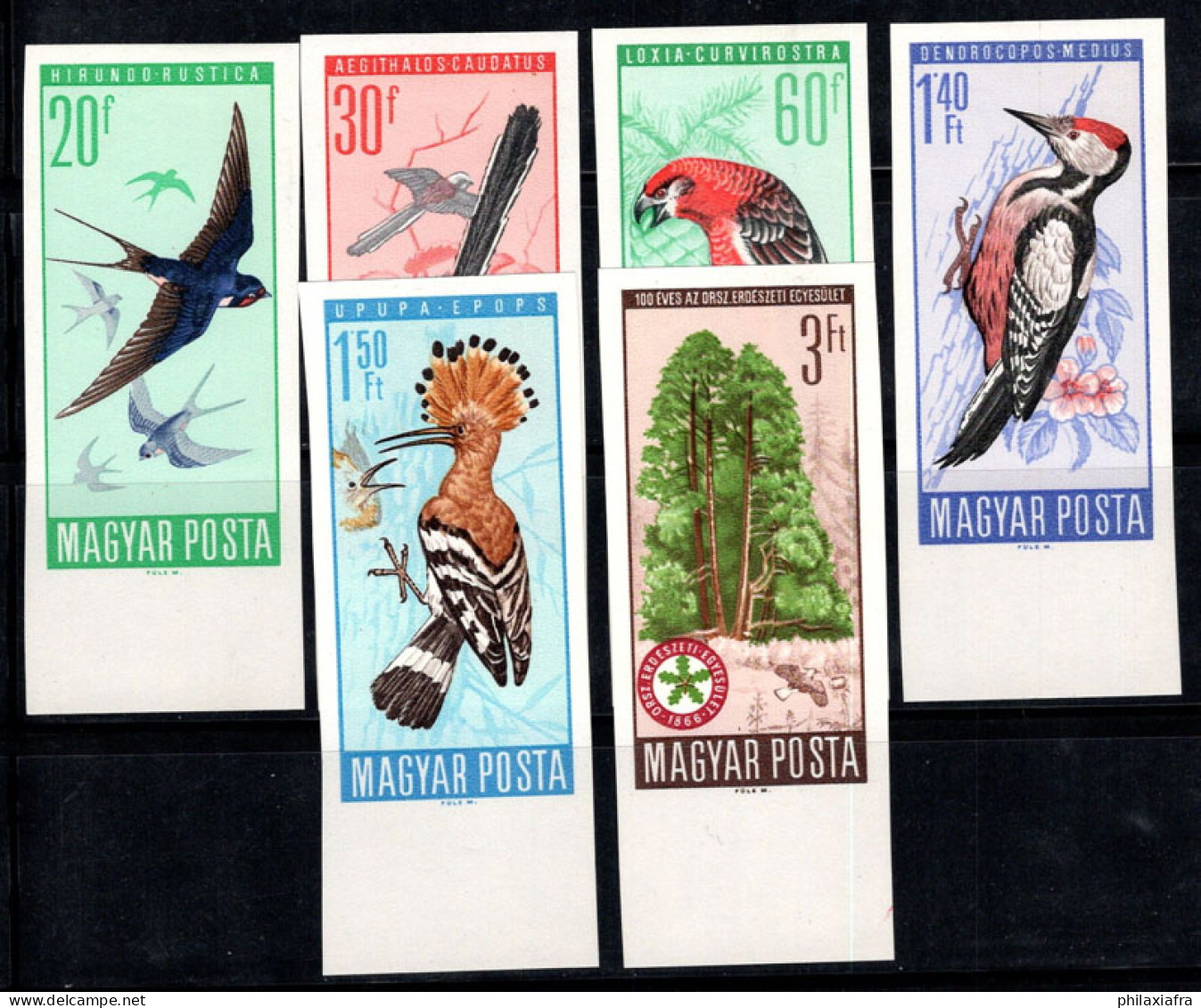 Hongrie 1966 Mi. 2231-36 B Neuf * MH 100% Protection Des Oiseaux - Unused Stamps