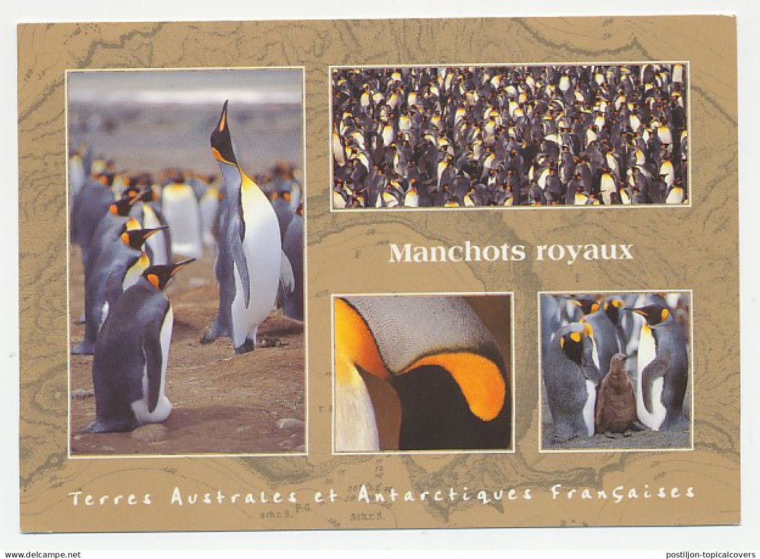 Cover / Postmark / Cachet T.A.A.F / Russia 2003 Expedition - Penguin - Paquebot - Arctic Expeditions