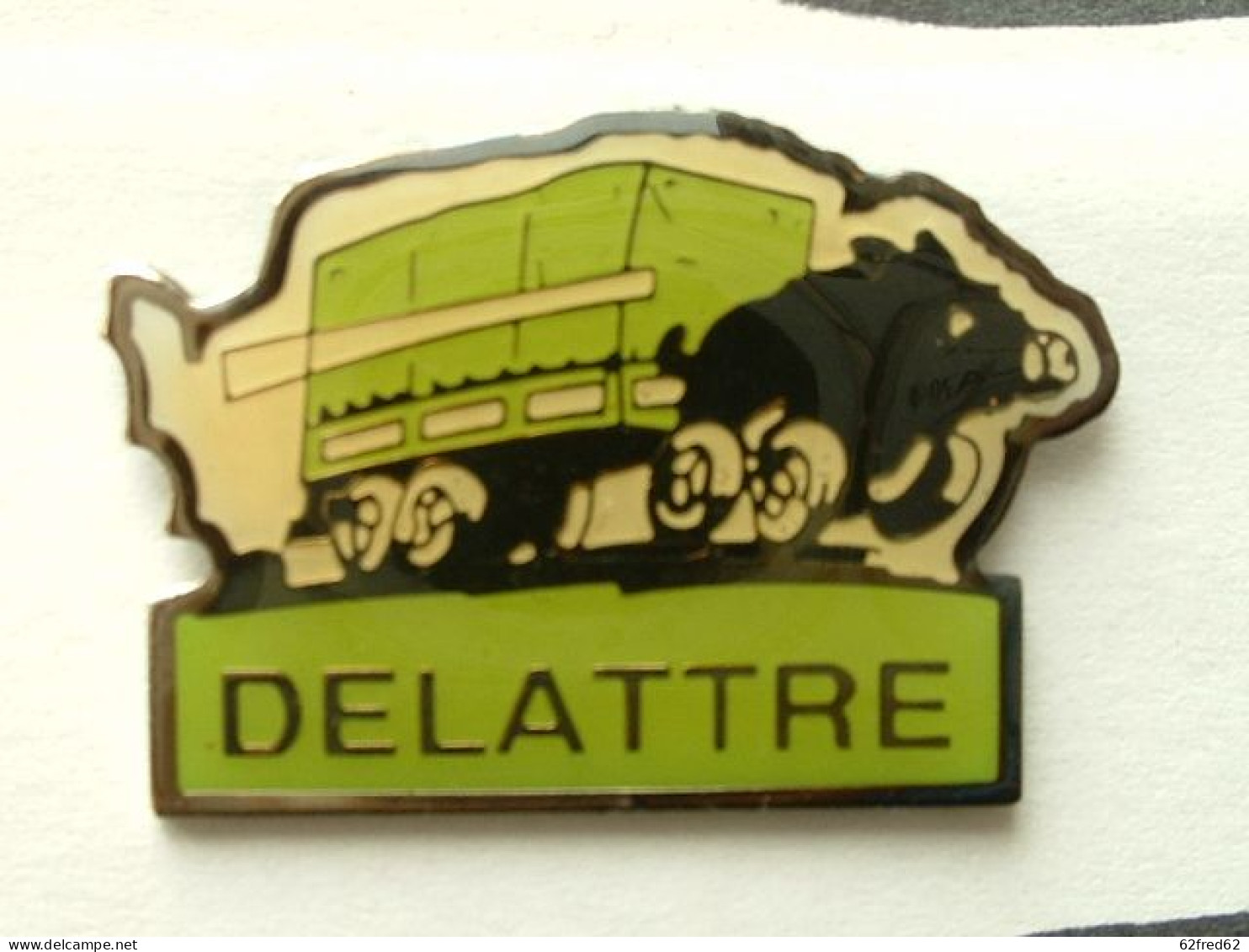 Pin's CAMION  - TRANSPORTS DELATTRE - SANGLIER - Transportes