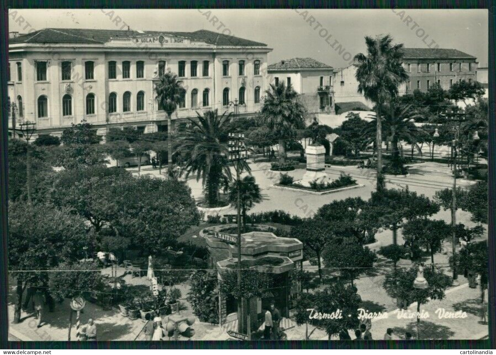 Campobasso Termoli Scuola Foto FG Cartolina ZK1924 - Campobasso