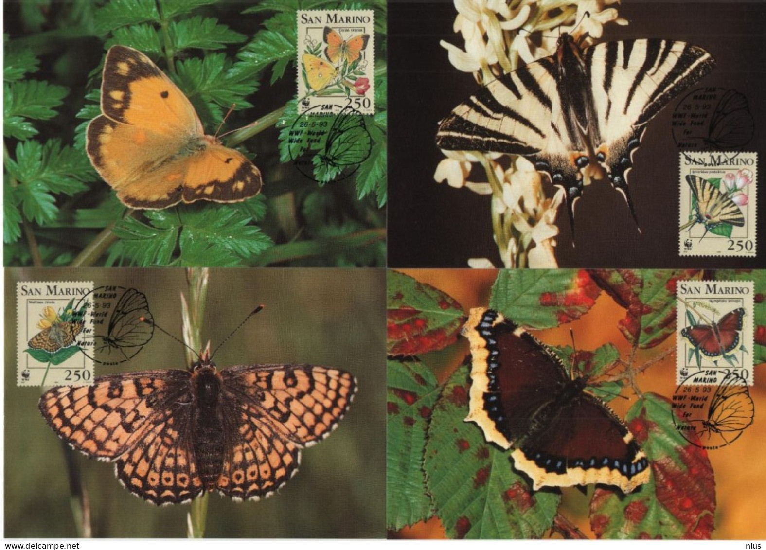 San Marino 1993 WWF W. W. F. Maximum Cards X4 Set Butterfly Butterflies Insects Fauna - Tarjetas – Máxima