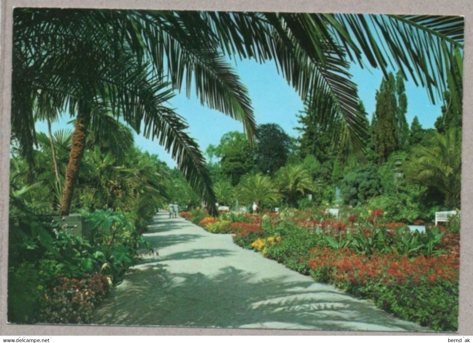 A1189} BRD - AK - Bad Pyrmont / Palmengarten Im Schönsten Kurpark - Bad Pyrmont