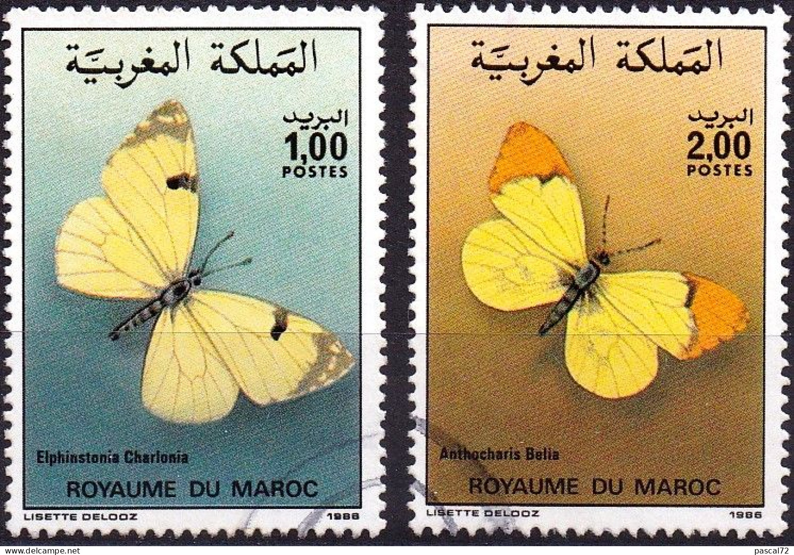MAROC 1986 Y&T N° 1017 & 1018 Oblitéré Used - Marruecos (1956-...)